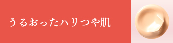 うるおったハリつや肌